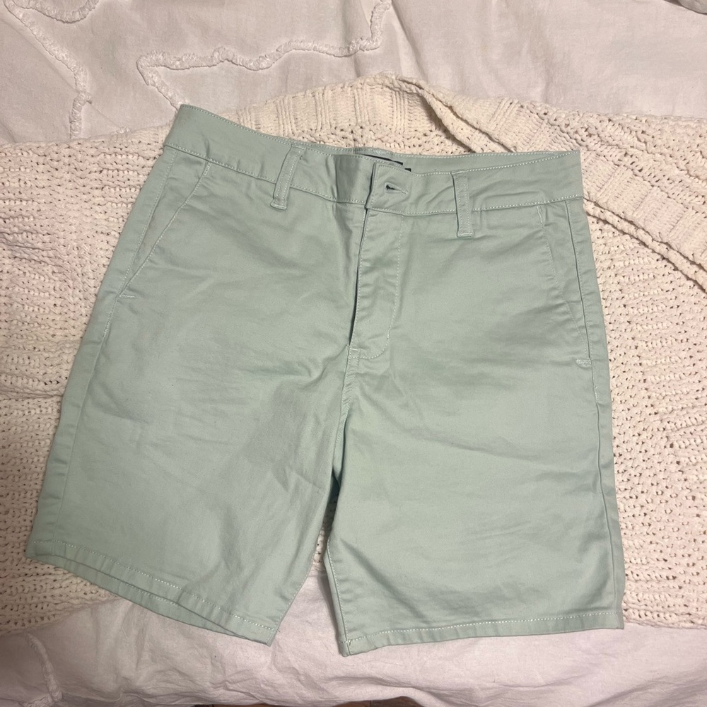 RSQ 5 inch Mint Green Shorts
